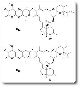 Ivermectin Arznei News