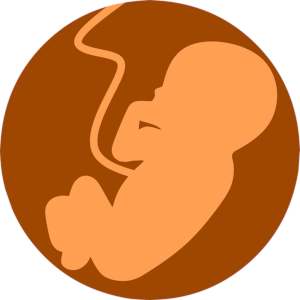 Kortikosteroide in der Schwangerschaft – Risiken