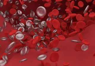 Myelodysplastische Syndrome: Vitamin B5 zur Bildung roter Blutkörperchen