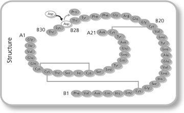 insulin-aspart