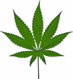 Cannabis / Marihuana als Medikament