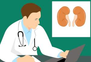 Kann Rosuvastatin die Nieren schädigen?